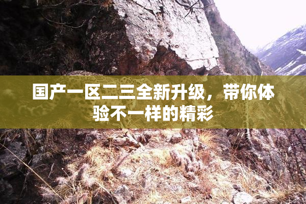 国产一区二三全新升级，带你体验不一样的精彩