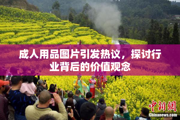 成人用品图片引发热议，探讨行业背后的价值观念