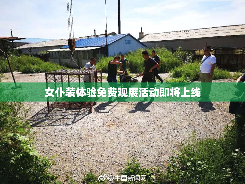 女仆装体验免费观展活动即将上线