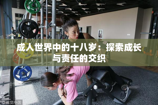 成人世界中的十八岁：探索成长与责任的交织