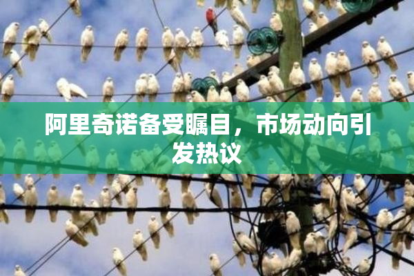 阿里奇诺备受瞩目，市场动向引发热议