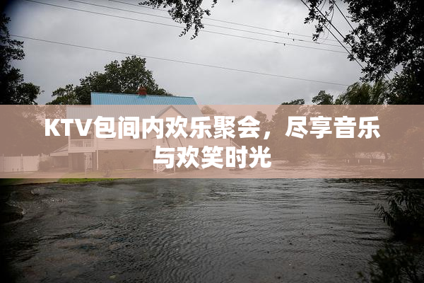 KTV包间内欢乐聚会，尽享音乐与欢笑时光