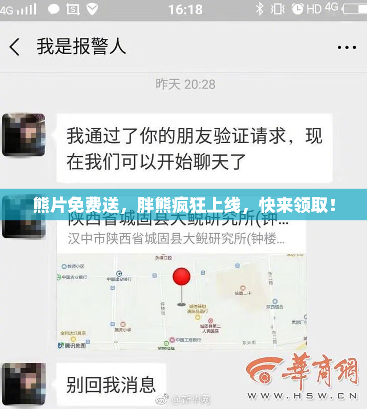 熊片免费送，胖熊疯狂上线，快来领取！