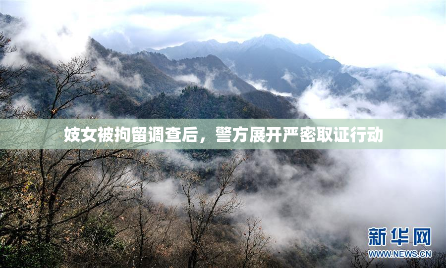妓女被拘留调查后，警方展开严密取证行动