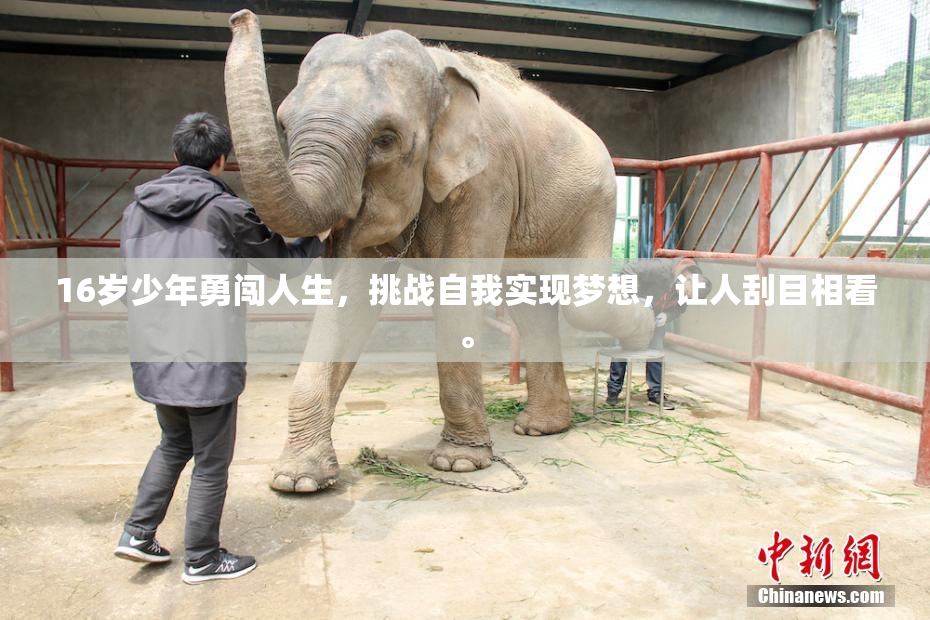 16岁少年勇闯人生，挑战自我实现梦想，让人刮目相看。