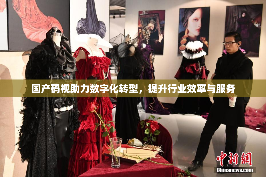 国产码视助力数字化转型，提升行业效率与服务