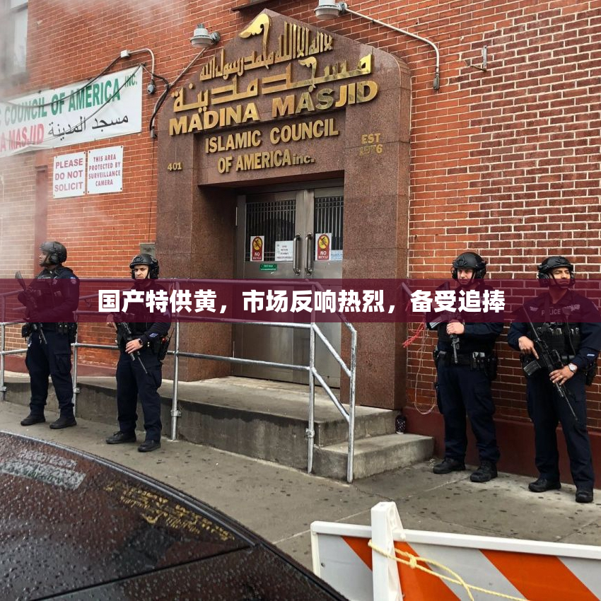 国产特供黄，市场反响热烈，备受追捧