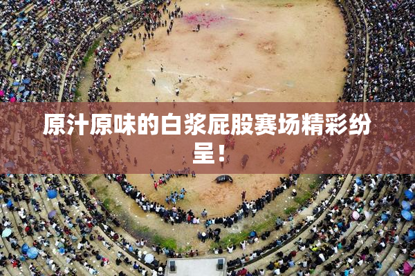 原汁原味的白浆屁股赛场精彩纷呈！