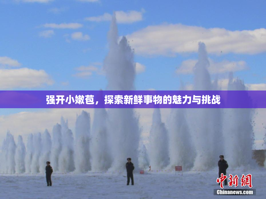 强开小嫩苞，探索新鲜事物的魅力与挑战