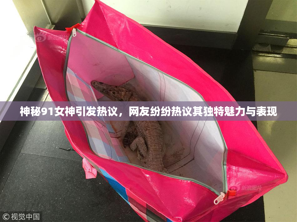神秘91女神引发热议，网友纷纷热议其独特魅力与表现