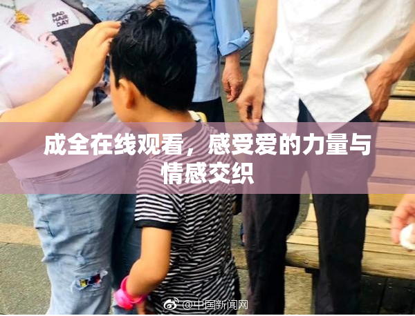 成全在线观看，感受爱的力量与情感交织