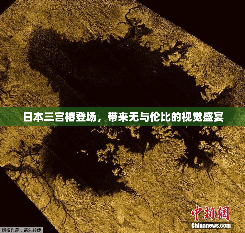 日本三宫椿登场，带来无与伦比的视觉盛宴