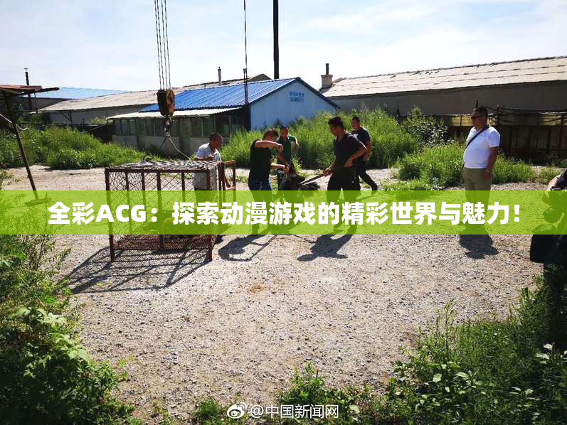 全彩ACG：探索动漫游戏的精彩世界与魅力！