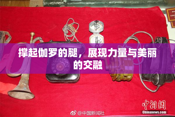 撑起伽罗的腿，展现力量与美丽的交融