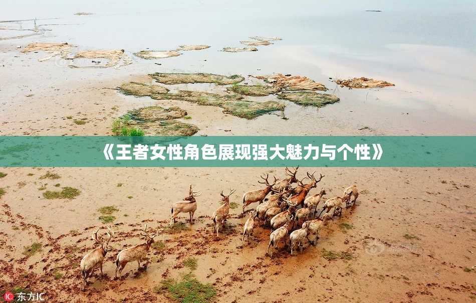 《王者女性角色展现强大魅力与个性》