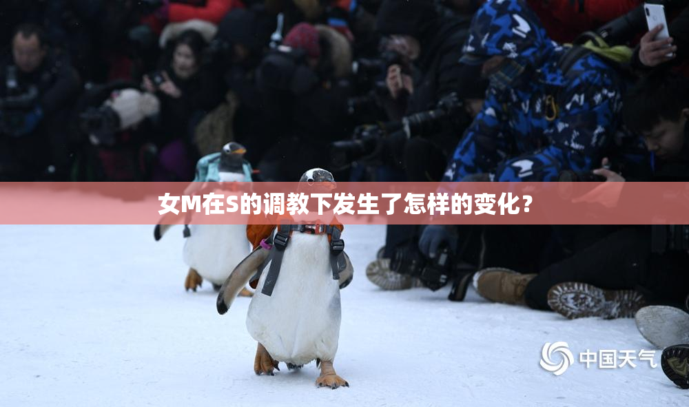 女M在S的调教下发生了怎样的变化？