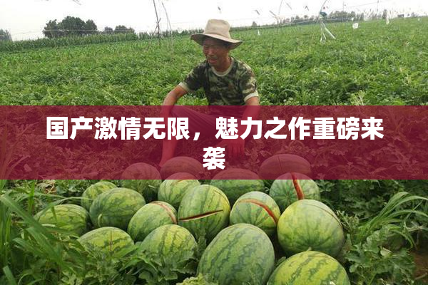 国产激情无限，魅力之作重磅来袭