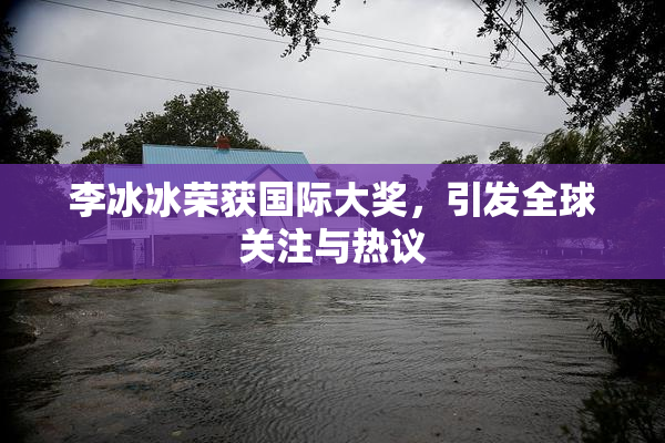 李冰冰荣获国际大奖，引发全球关注与热议