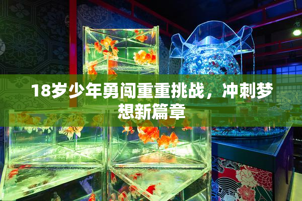 18岁少年勇闯重重挑战，冲刺梦想新篇章