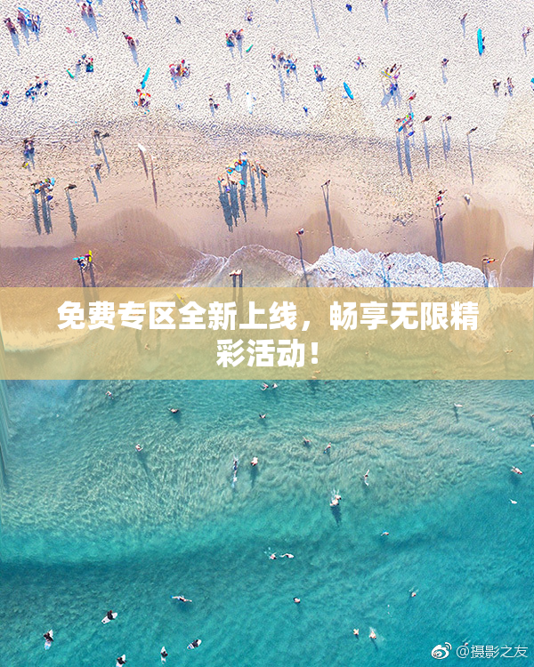 免费专区全新上线，畅享无限精彩活动！