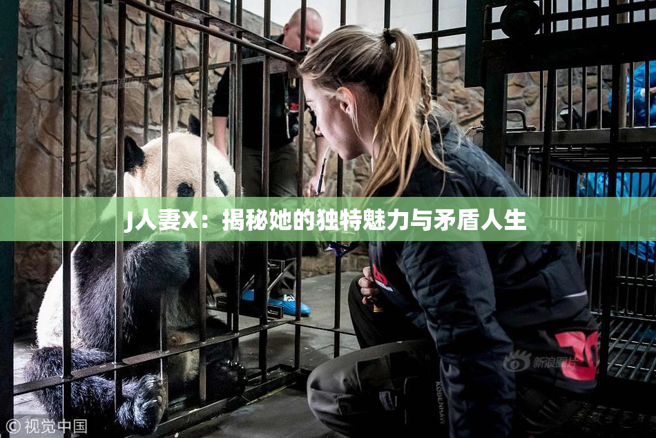 J人妻X：揭秘她的独特魅力与矛盾人生