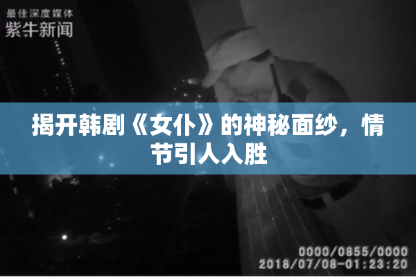 揭开韩剧《女仆》的神秘面纱，情节引人入胜