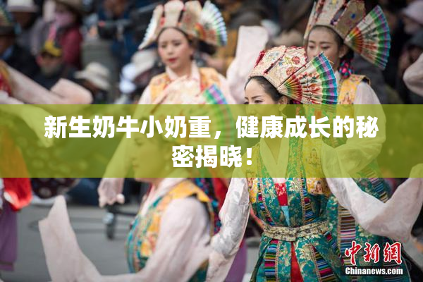 新生奶牛小奶重，健康成长的秘密揭晓！