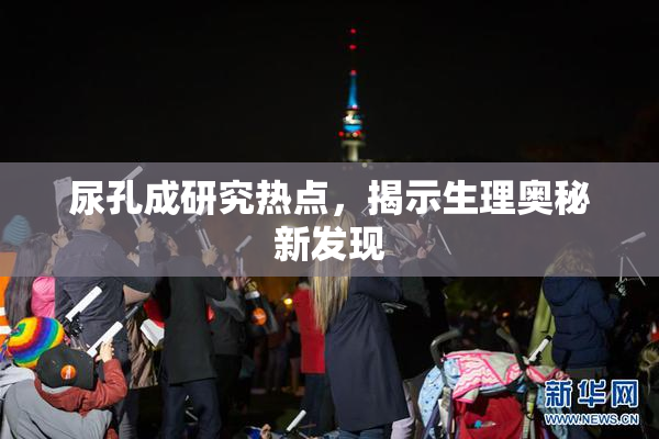 尿孔成研究热点，揭示生理奥秘新发现