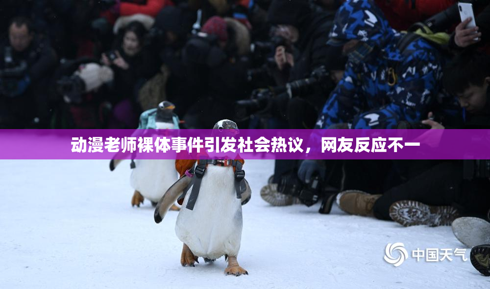 动漫老师裸体事件引发社会热议，网友反应不一
