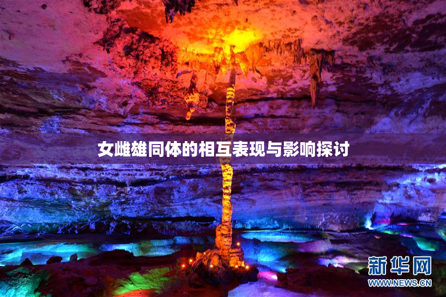女雌雄同体的相互表现与影响探讨