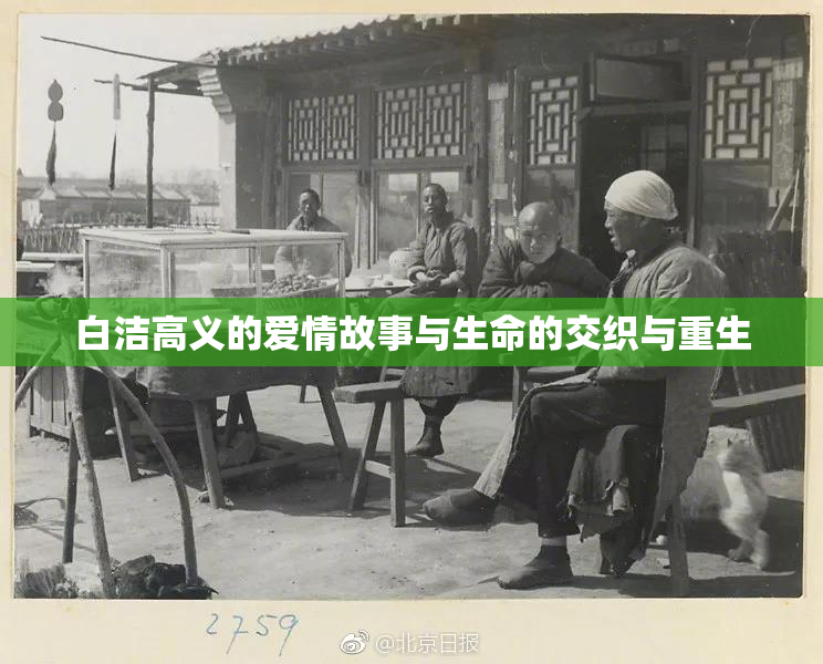 白洁高义的爱情故事与生命的交织与重生