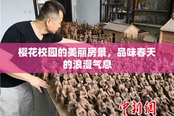 樱花校园的美丽房景，品味春天的浪漫气息
