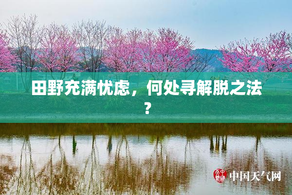 田野充满忧虑，何处寻解脱之法？