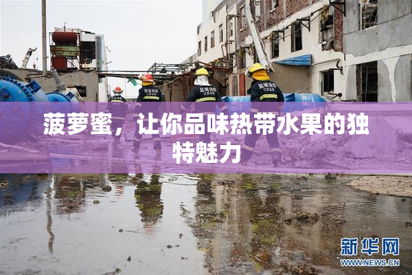 菠萝蜜，让你品味热带水果的独特魅力