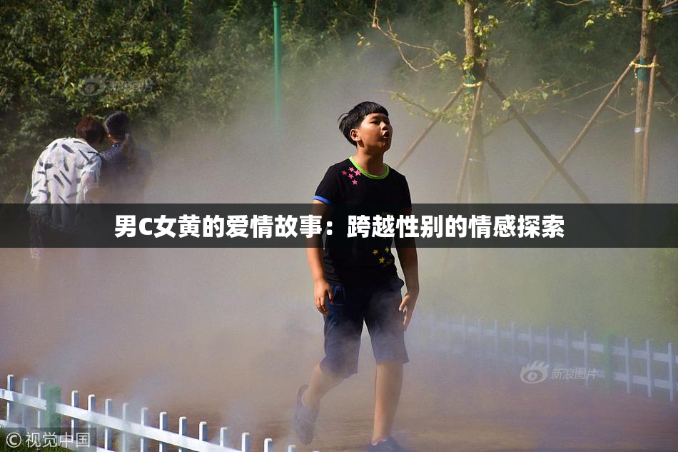 男C女黄的爱情故事：跨越性别的情感探索