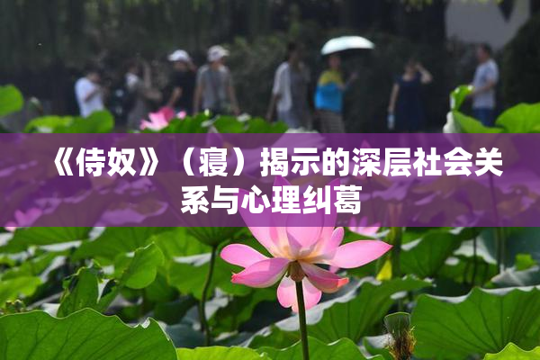 《侍奴》（寝）揭示的深层社会关系与心理纠葛
