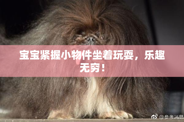 宝宝紧握小物件坐着玩耍，乐趣无穷！