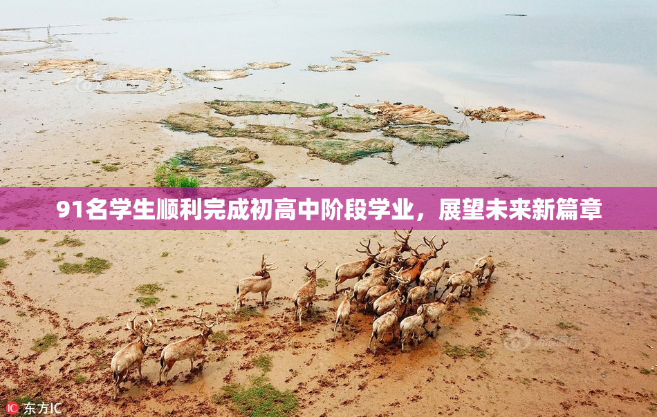 91名学生顺利完成初高中阶段学业，展望未来新篇章