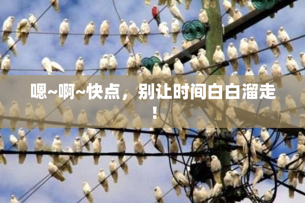 嗯~啊~快点，别让时间白白溜走！