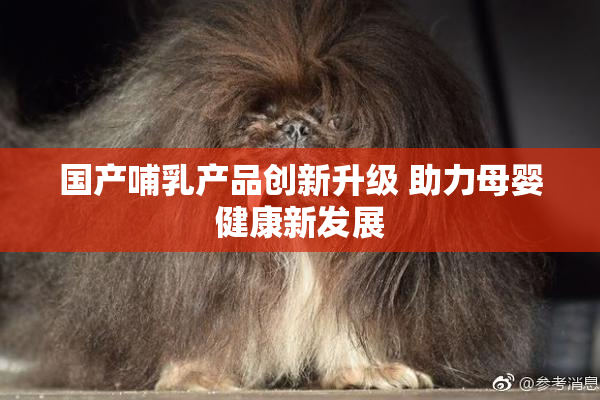 国产哺乳产品创新升级 助力母婴健康新发展