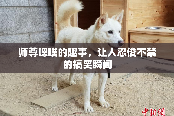 师尊嗯噗的趣事，让人忍俊不禁的搞笑瞬间