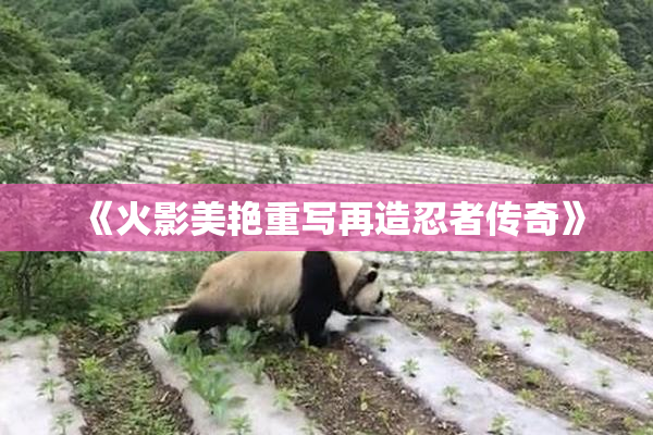 《火影美艳重写再造忍者传奇》