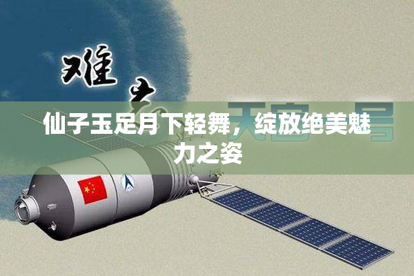 仙子玉足月下轻舞，绽放绝美魅力之姿