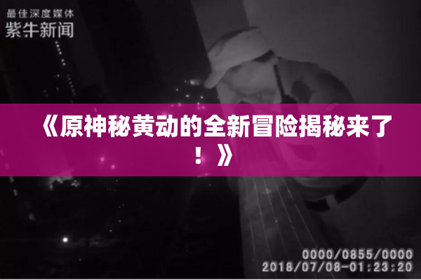 《原神秘黄动的全新冒险揭秘来了！》