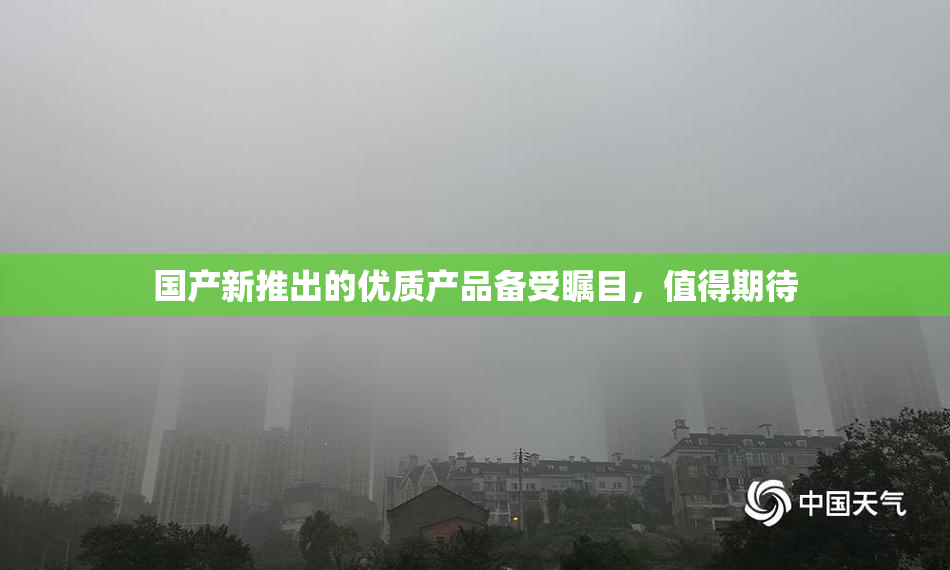 国产新推出的优质产品备受瞩目，值得期待