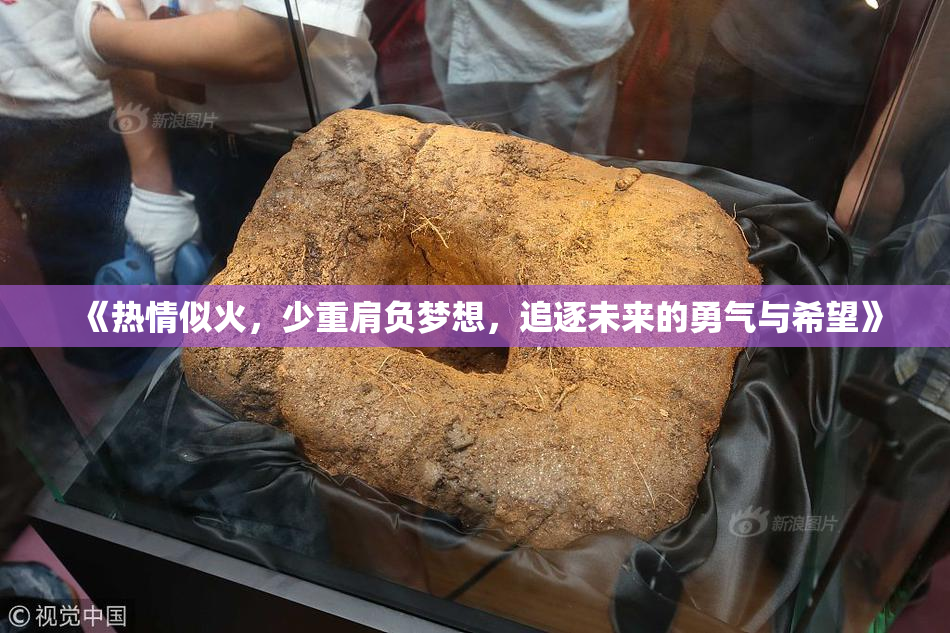 《热情似火，少重肩负梦想，追逐未来的勇气与希望》
