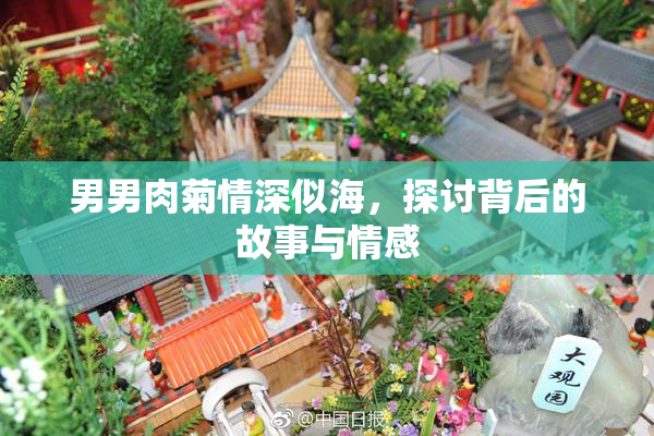 男男肉菊情深似海，探讨背后的故事与情感