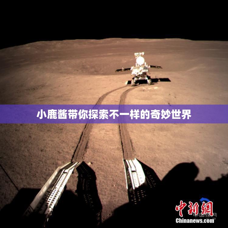 小鹿酱带你探索不一样的奇妙世界