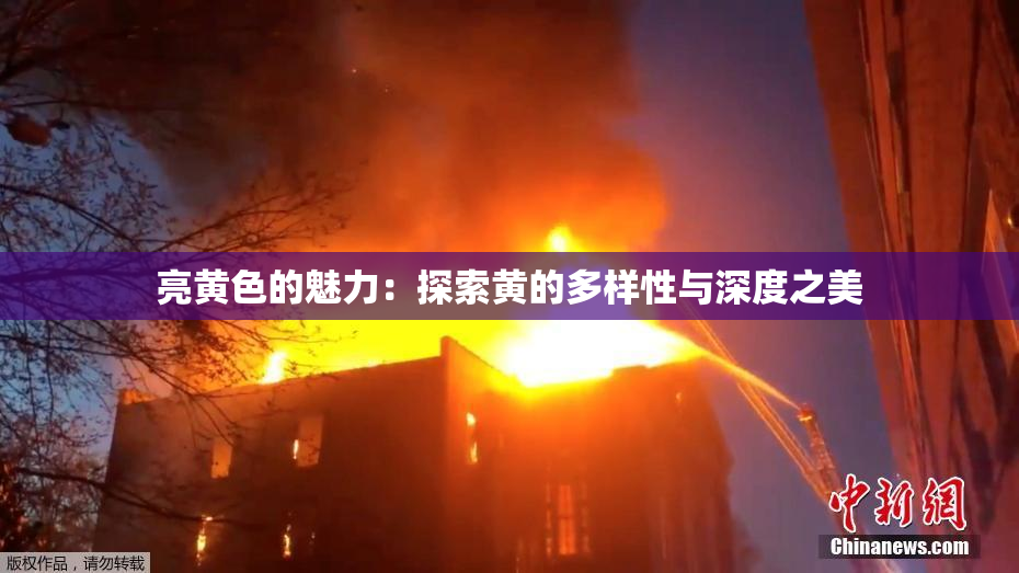 亮黄色的魅力：探索黄的多样性与深度之美