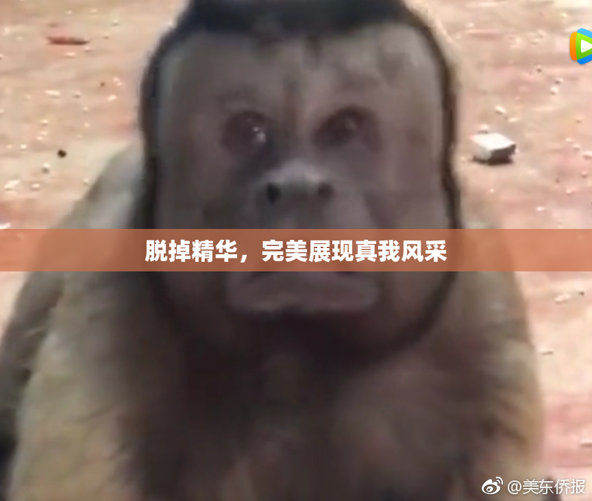脱掉精华，完美展现真我风采